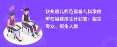 钦州幼儿师范高等专科学校2024年在福建招生计划表：招生专业、招生人数
