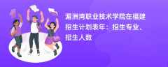 湄洲湾职业技术学院在福建招生计划表2024年：招生专业、招生人数