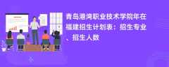 青岛港湾职业技术学院2024年在福建招生计划表：招生专业、招生人数