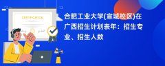 合肥工业大学(宣城校区)在广西招生计划表2024年:招生专业、招生人数
