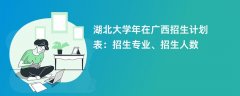 湖北大学2024年在广西招生计划表:招生专业、招生人数