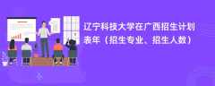 辽宁科技大学在广西招生计划表2024年（招生专业、招生人数）
