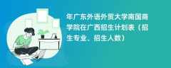 2024年广东外语外贸大学南国商学院在广西招生计划表（招生专业、招生人数）