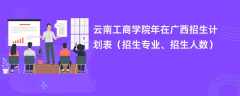 云南工商学院2024年在广西招生计划表（招生专业、招生人数）