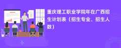 重庆理工职业学院2024年在广西招生计划表（招生专业、招生人数）