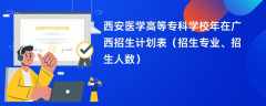 西安医学高等专科学校2024年在广西招生计划表（招生专业、招生人数）