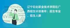 辽宁石化职业技术学院在广西招生计划表2024年：招生专业、招生人数