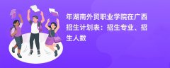 2024年湖南外贸职业学院在广西招生计划表:招生专业、招生人数