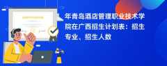 2024年青岛酒店管理职业技术学院在广西招生计划表：招生专业、招生人数