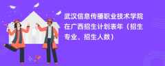 武汉信息传播职业技术学院在广西招生计划表2024年（招生专业、招生人数）
