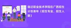 宿迁职业技术学院在广西招生计划表2024年（招生专业、招生人数）