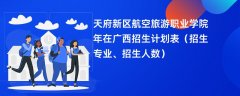 天府新区航空旅游职业学院2024年在广西招生计划表(招生专业、招生人数)