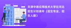 天津中德应用技术大学在河北招生计划表2024年（招生专业、招生人数）