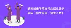 湖南城市学院在河北招生计划表2024年（招生专业、招生人数）