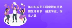 2024年山东农业工程学院在河北招生计划表：招生专业、招生人数