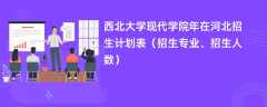 西北大学现代学院2024年在河北招生计划表（招生专业、招生人数）
