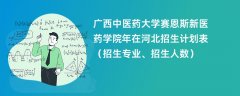 广西中医药大学赛恩斯新医药学院2024年在河北招生计划表(招生专业、招生人数)
