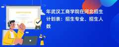 2024年武汉工商学院在河北招生计划表：招生专业、招生人数