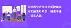 天津商业大学宝德学院2024年在河北招生计划表：招生专业、招生人数