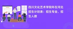 四川文化艺术学院2024年在河北招生计划表:招生专业、招生人数