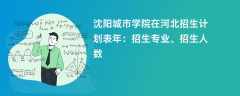 沈阳城市学院在河北招生计划表2024年：招生专业、招生人数