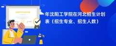 2024年沈阳工学院在河北招生计划表（招生专业、招生人数）