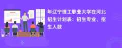 2024年辽宁理工职业大学在河北招生计划表：招生专业、招生人数