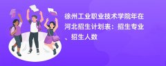 徐州工业职业技术学院2024年在河北招生计划表:招生专业、招生人数