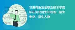 甘肃有色冶金职业技术学院2024年在河北招生计划表：招生专业、招生人数
