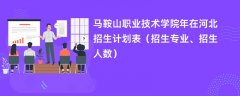 马鞍山职业技术学院2024年在河北招生计划表(招生专业、招生人数)