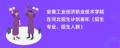 安徽工业经济职业技术学院在河北招生计划表2024年（招生专业、招生人数）