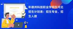 2024年德州科技职业学院在河北招生计划表：招生专业、招生人数