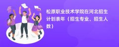 松原职业技术学院在河北招生计划表2024年（招生专业、招生人数）