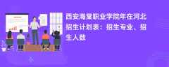 西安海棠职业学院2024年在河北招生计划表：招生专业、招生人数