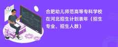 合肥幼儿师范高等专科学校在河北招生计划表2024年（招生专业、招生人数）