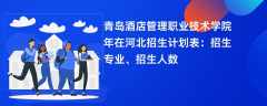 青岛酒店管理职业技术学院2024年在河北招生计划表：招生专业、招生人数