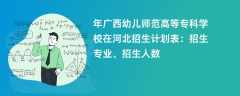 2024年广西幼儿师范高等专科学校在河北招生计划表：招生专业、招生人数
