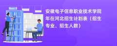 安徽电子信息职业技术学院2024年在河北招生计划表（招生专业、招生人数）