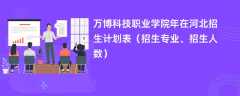 万博科技职业学院2024年在河北招生计划表（招生专业、招生人数）