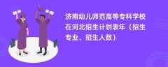 济南幼儿师范高等专科学校在河北招生计划表2024年（招生专业、招生人数）