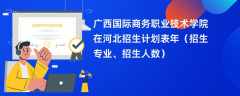 广西国际商务职业技术学院在河北招生计划表2024年（招生专业、招生人数）