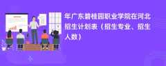 2024年广东碧桂园职业学院在河北招生计划表（招生专业、招生人数）