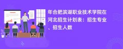 2024年合肥滨湖职业技术学院在河北招生计划表:招生专业、招生人数