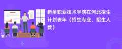 新星职业技术学院在河北招生计划表2024年（招生专业、招生人数）