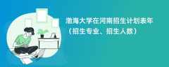渤海大学在河南招生计划表2024年（招生专业、招生人数）