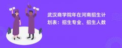 武汉商学院2024年在河南招生计划表：招生专业、招生人数