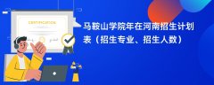 马鞍山学院2024年在河南招生计划表(招生专业、招生人数)