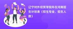 辽宁对外经贸学院2024年在河南招生计划表（招生专业、招生人数）