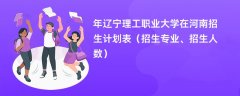 2024年辽宁理工职业大学在河南招生计划表（招生专业、招生人数）