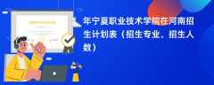 2024年宁夏职业技术学院在河南招生计划表（招生专业、招生人数）